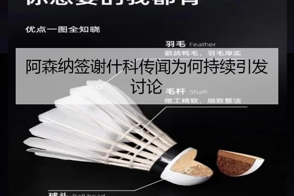 阿森纳签谢什科传闻为何持续引发讨论